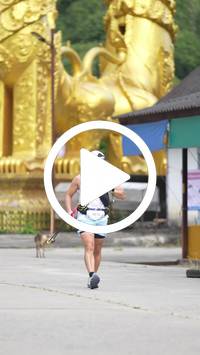 BIB:  <button type="button" onclick="openModal(26811954)" class="btn btn-primary btn-sm float-right" data-toggle="modal" data-target=".modal-high-quality">
                <i class="fa fa-download"></i> Download
                </button>